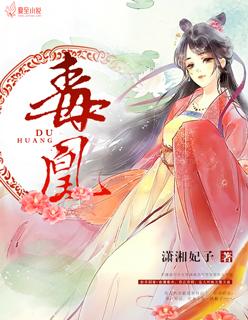将门太子妃暗夜妖妃