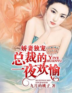 总裁一夜宠妻