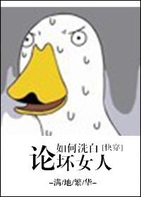 论如何洗向坏女人(快穿)