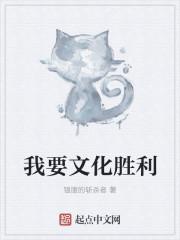 文化胜利攻略