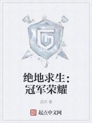 pubg 冠军