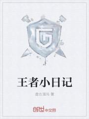 王者日记多少钱一个