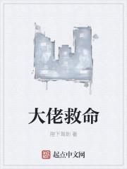 大佬救命恩人