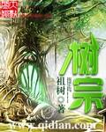 树宗 起点