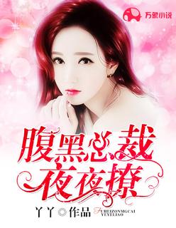 腹黑总裁撩妻路线