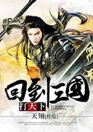 回到三国打天下txt全集免费