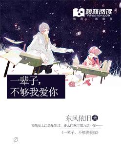 一生爱你够不够是什么歌