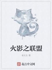 火影联盟安装