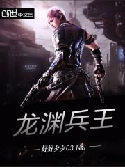 龙元兵王