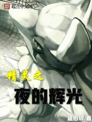 精灵之夜的辉光(精灵之辉夜黎明)