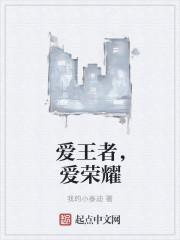 王者aid