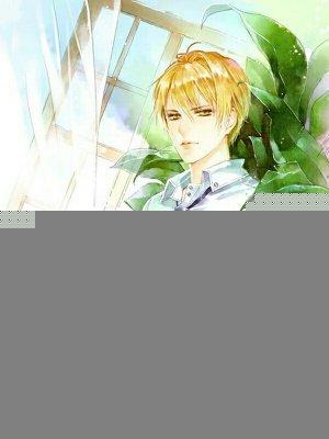 校草大人太腹黑全文免费阅读
