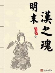明末之汉之魂txt