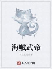 海贼王之武士