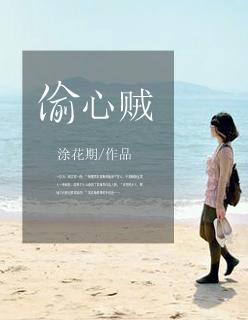 偷心贼的幽默句子
