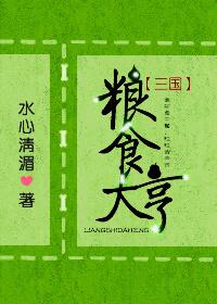 粮食大亨三国好看吗
