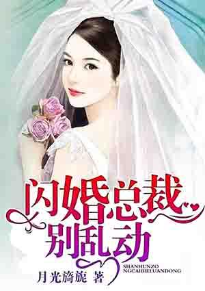 闪婚总裁别着急