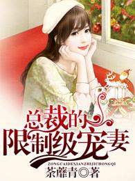 总裁的禁忌舟自横全文免费阅读