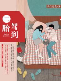 二胎来了免费阅读