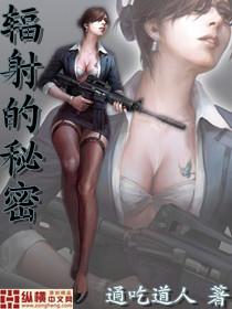 辐射的秘密加料修改版