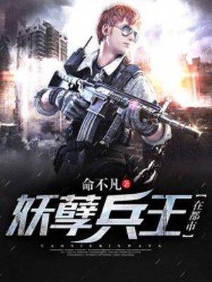 妖孽兵王在都市夜袭凉7