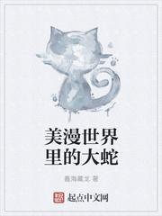 美漫世界的武者作者