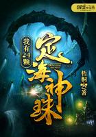 主角有24颗定海珠的