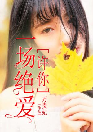 许你一场深情全文免费