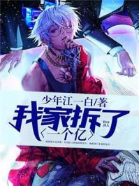 我家拆了一个亿txt