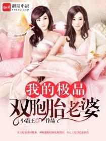 我的极品双胞胎老婆李一飞