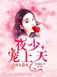 宝贝太惹火顾少宠上天