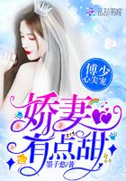 星河迢迢只见你全文免费