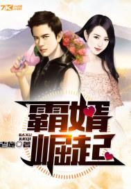 霸婿崛起结局是什么