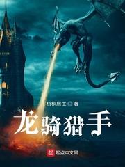 龙骑士技能搭配