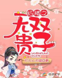 红楼之无双贵子txt