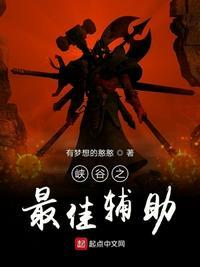 峡谷之最佳辅助157