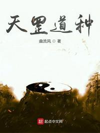 天罡道种始祖玄幻
