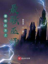 霍格沃茨之最强之獾txt