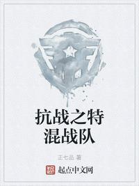 抗日之特战军魂笔趣阁