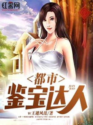 都市鉴宝能手