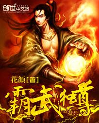 霸武独尊原著