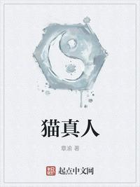 情侣头像一人一猫真人