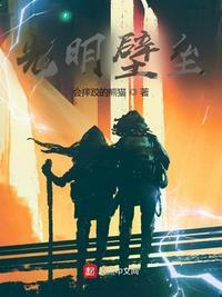 光明壁垒八一