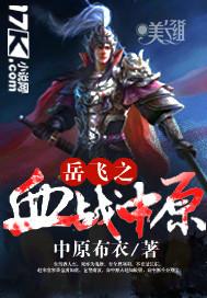 岳飞之血战中原武功排行
