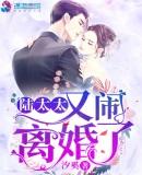 陆太太又闹离婚了青梅竹马