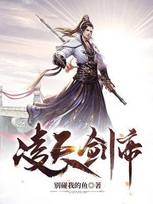 凌天剑帝林澈TXT电子书