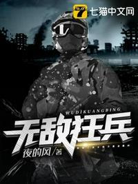 无敌狂兵叶军浪苏红袖