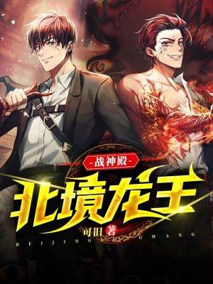 战神殿北境龙王叶辰TXT