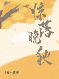 惊落晚秋by夏六愚谁是攻