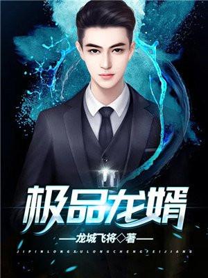 极品龙婿全集免费观看电视剧高清版